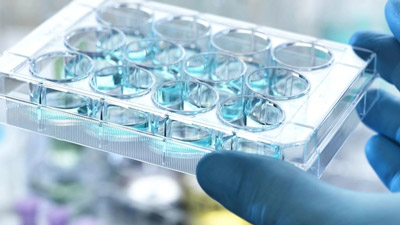 皇冠体育：EQRx关于阿美替尼用于治疗表皮生长因子突变的非小细胞肺癌上市许可申请获EMA受理